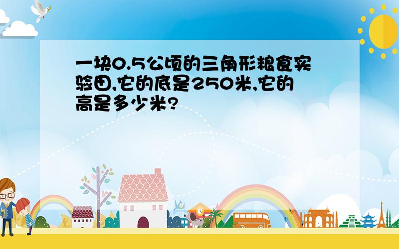 一块0.5公顷的三角形粮食实验田,它的底是250米,它的高是多少米?