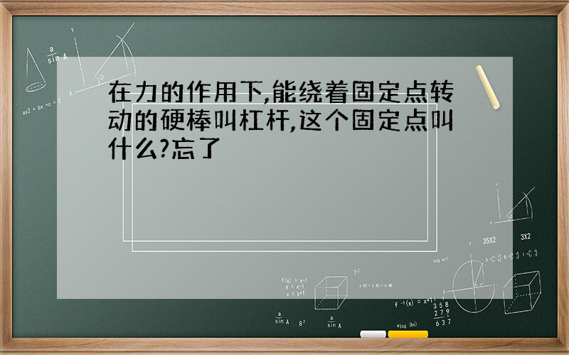 在力的作用下,能绕着固定点转动的硬棒叫杠杆,这个固定点叫什么?忘了