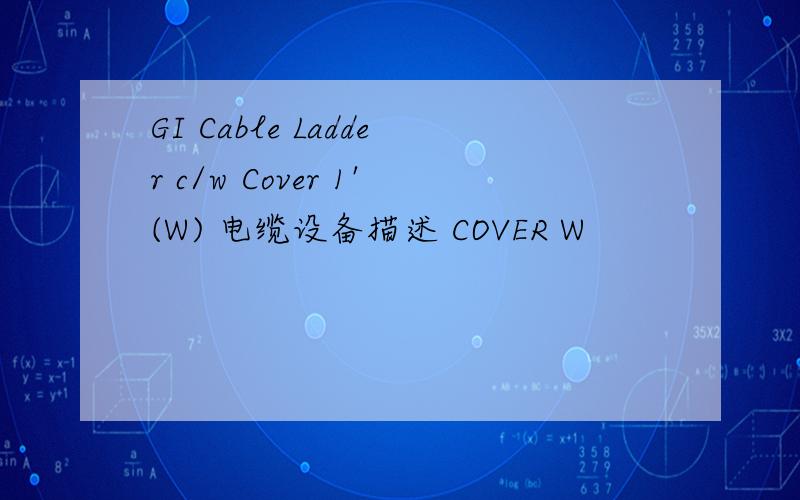 GI Cable Ladder c/w Cover 1'(W) 电缆设备描述 COVER W