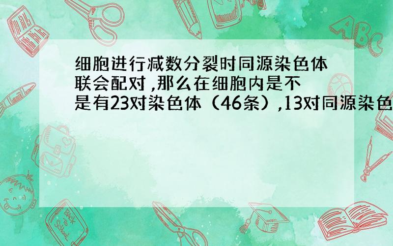 细胞进行减数分裂时同源染色体联会配对 ,那么在细胞内是不是有23对染色体（46条）,13对同源染色体?