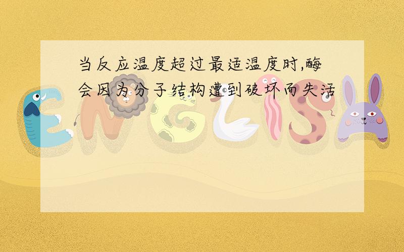 当反应温度超过最适温度时,酶会因为分子结构遭到破坏而失活