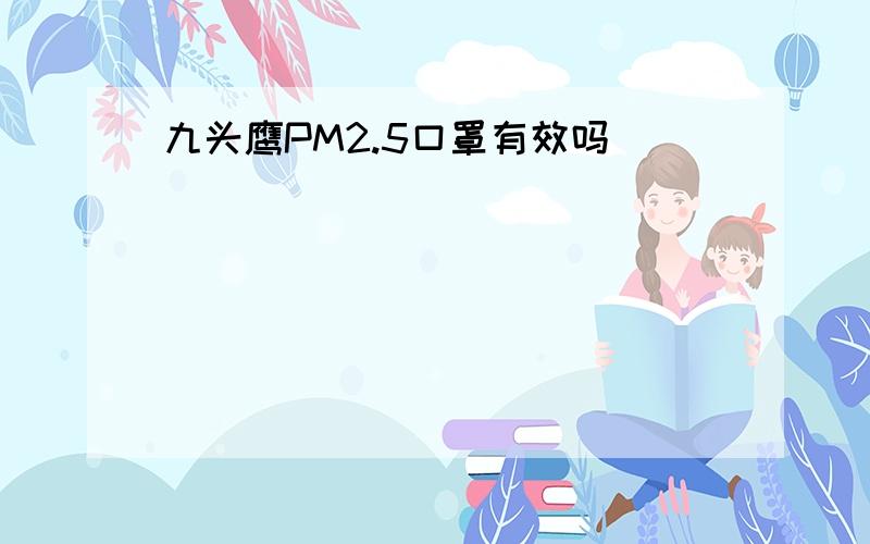 九头鹰PM2.5口罩有效吗