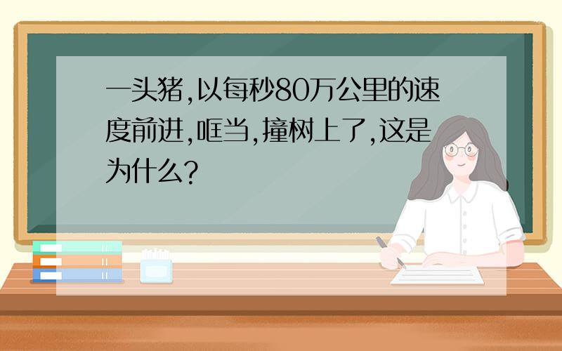 一头猪,以每秒80万公里的速度前进,哐当,撞树上了,这是为什么?