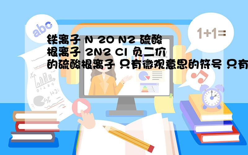 铁离子 N 2O N2 硫酸根离子 2N2 Cl 负二价的硫酸根离子 只有微观意思的符号 只有宏观意义的符号