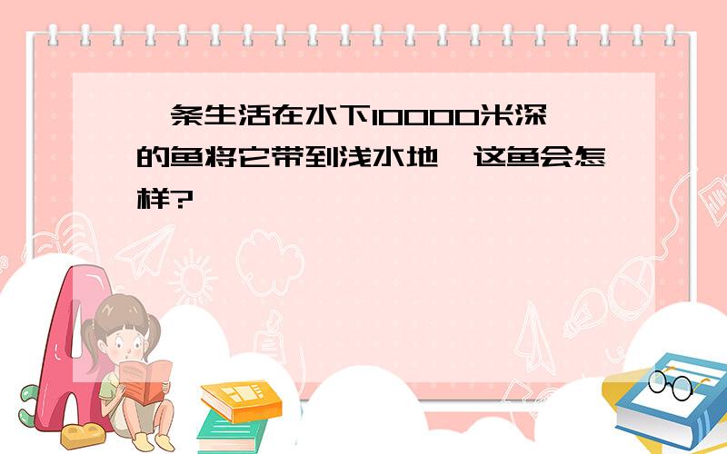 一条生活在水下10000米深的鱼将它带到浅水地,这鱼会怎样?