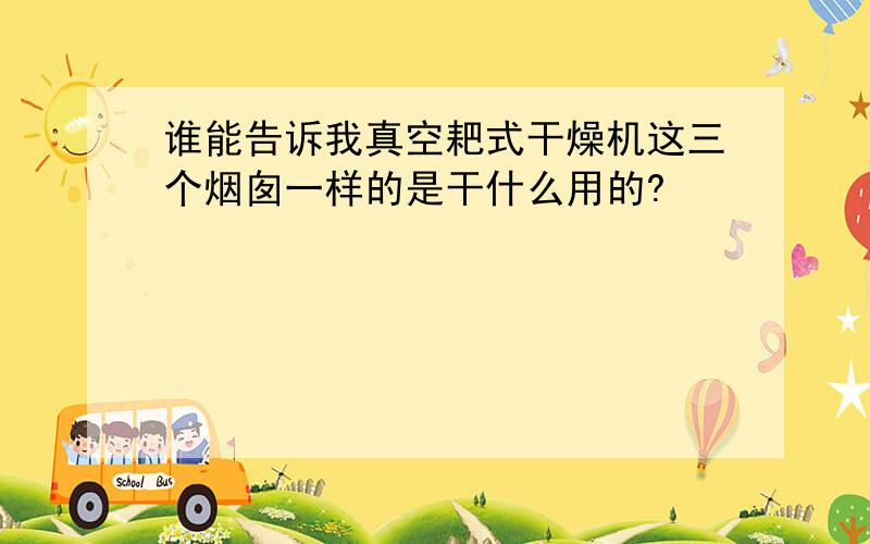 谁能告诉我真空耙式干燥机这三个烟囱一样的是干什么用的?