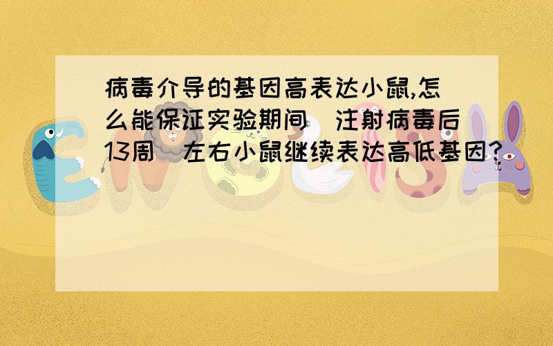 病毒介导的基因高表达小鼠,怎么能保证实验期间（注射病毒后13周）左右小鼠继续表达高低基因?