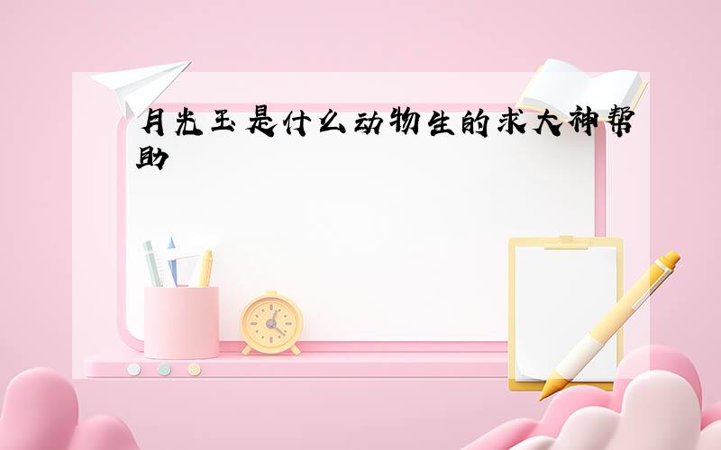 月光玉是什么动物生的求大神帮助