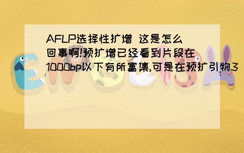 AFLP选择性扩增 这是怎么回事啊!预扩增已经看到片段在1000bp以下有所富集,可是在预扩引物3‘端加上选择性碱基后,