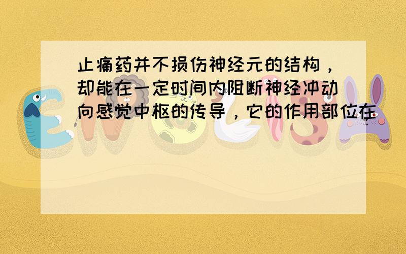 止痛药并不损伤神经元的结构，却能在一定时间内阻断神经冲动向感觉中枢的传导，它的作用部位在（　　）