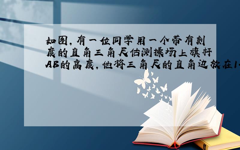 如图,有一位同学用一个带有刻度的直角三角尺估测操场上旗杆AB的高度,他将三角尺的直角边放在1.3  