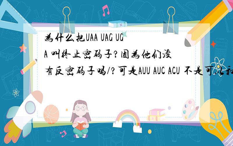 为什么把UAA UAG UGA 叫终止密码子?因为他们没有反密码子吗/?可是AUU AUC ACU 不是可以和他们碱基配