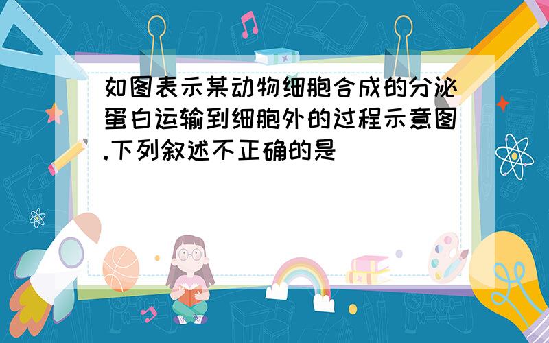 如图表示某动物细胞合成的分泌蛋白运输到细胞外的过程示意图.下列叙述不正确的是（　　）