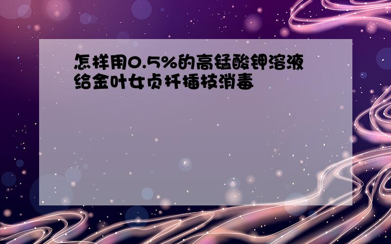 怎样用0.5%的高锰酸钾溶液给金叶女贞扦插枝消毒