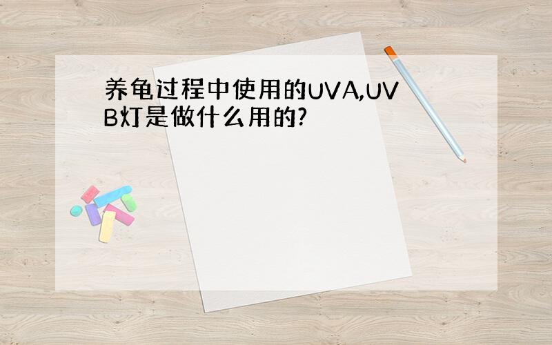 养龟过程中使用的UVA,UVB灯是做什么用的?