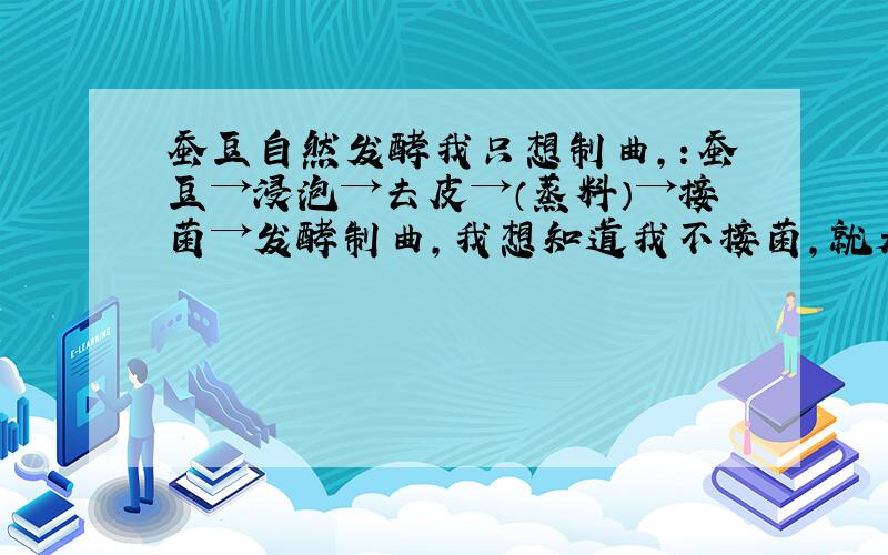 蚕豆自然发酵我只想制曲,：蚕豆→浸泡→去皮→（蒸料）→接菌→发酵制曲,我想知道我不接菌,就是不用米曲霉或者什么黑曲霉能发