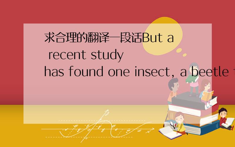 求合理的翻译一段话But a recent study has found one insect, a beetle t