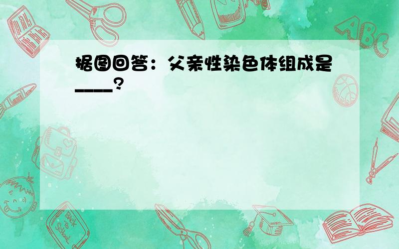 据图回答：父亲性染色体组成是____?