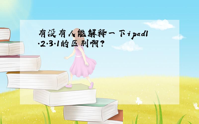 有没有人能解释一下ipad1.2.3.1的区别啊?