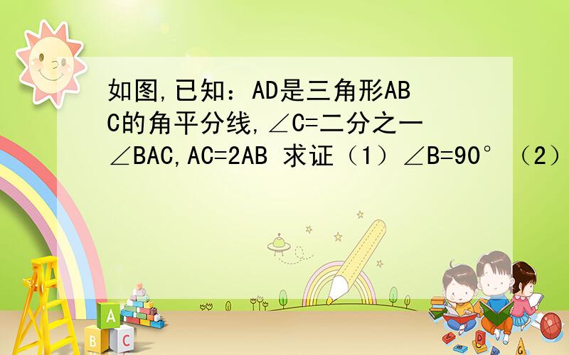 如图,已知：AD是三角形ABC的角平分线,∠C=二分之一∠BAC,AC=2AB 求证（1）∠B=90°（2）AD=2BD