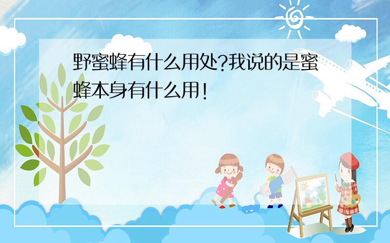 野蜜蜂有什么用处?我说的是蜜蜂本身有什么用!