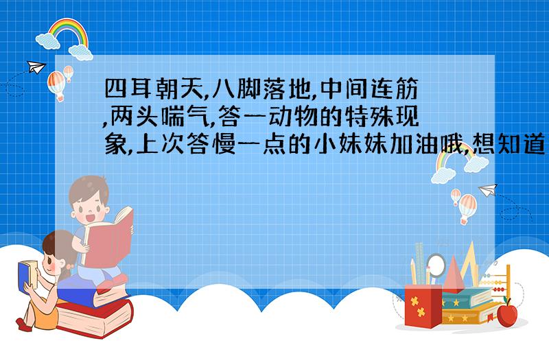 四耳朝天,八脚落地,中间连筋,两头喘气,答一动物的特殊现象,上次答慢一点的小妹妹加油哦,想知道答案的可以问哦