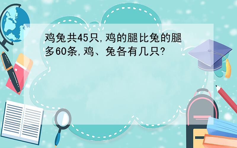 鸡兔共45只,鸡的腿比兔的腿多60条,鸡、兔各有几只?