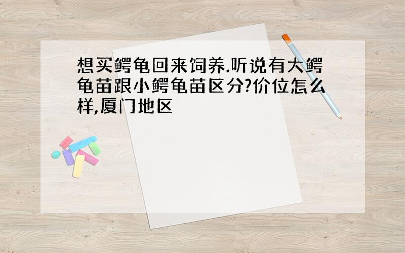 想买鳄龟回来饲养.听说有大鳄龟苗跟小鳄龟苗区分?价位怎么样,厦门地区