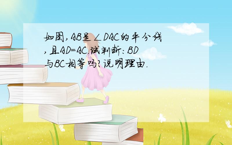 如图,AB是∠DAC的平分线,且AD＝AC.试判断：BD与BC相等吗?说明理由.