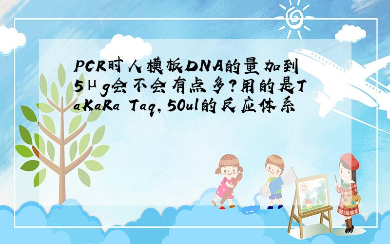 PCR时人模板DNA的量加到5μg会不会有点多?用的是TaKaRa Taq,50ul的反应体系