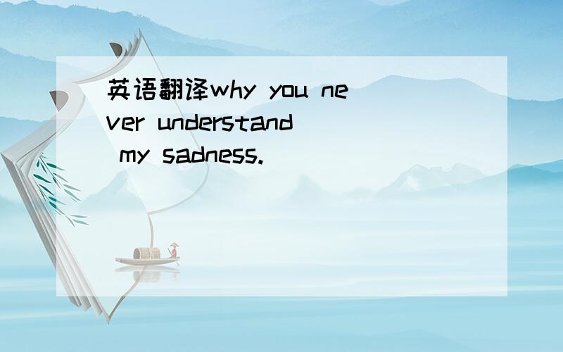 英语翻译why you never understand my sadness.