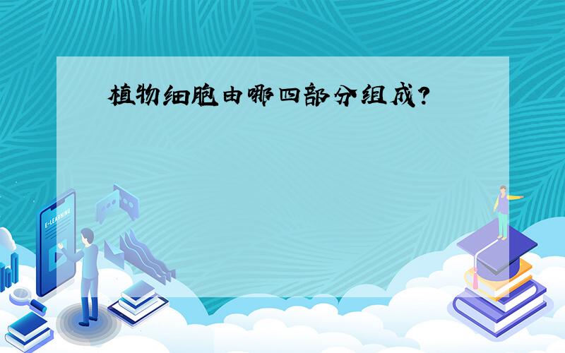 植物细胞由哪四部分组成?