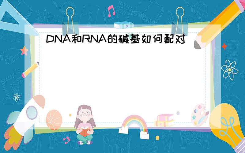 DNA和RNA的碱基如何配对