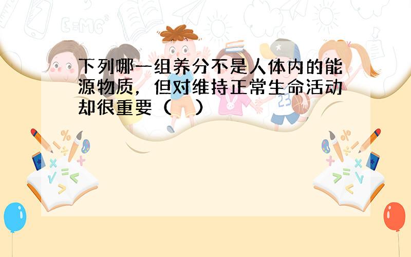 下列哪一组养分不是人体内的能源物质，但对维持正常生命活动却很重要（　　）