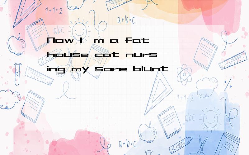 Now I'm a fat house cat nursing my sore blunt