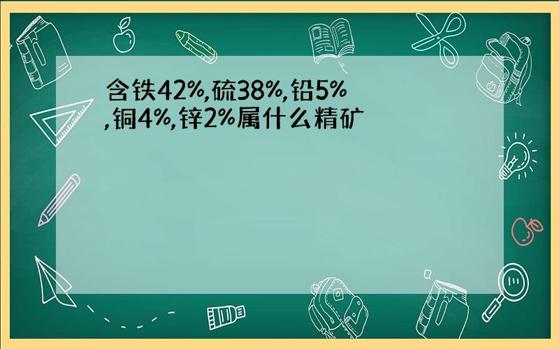 含铁42%,硫38%,铅5%,铜4%,锌2%属什么精矿