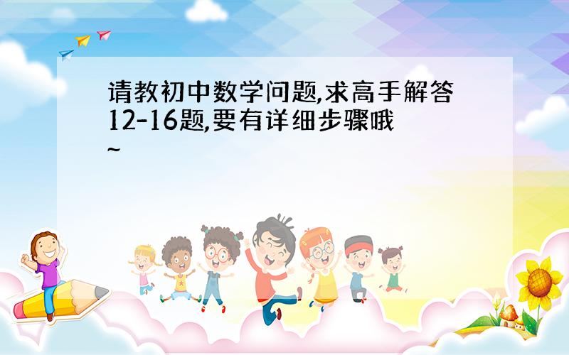 请教初中数学问题,求高手解答12-16题,要有详细步骤哦~