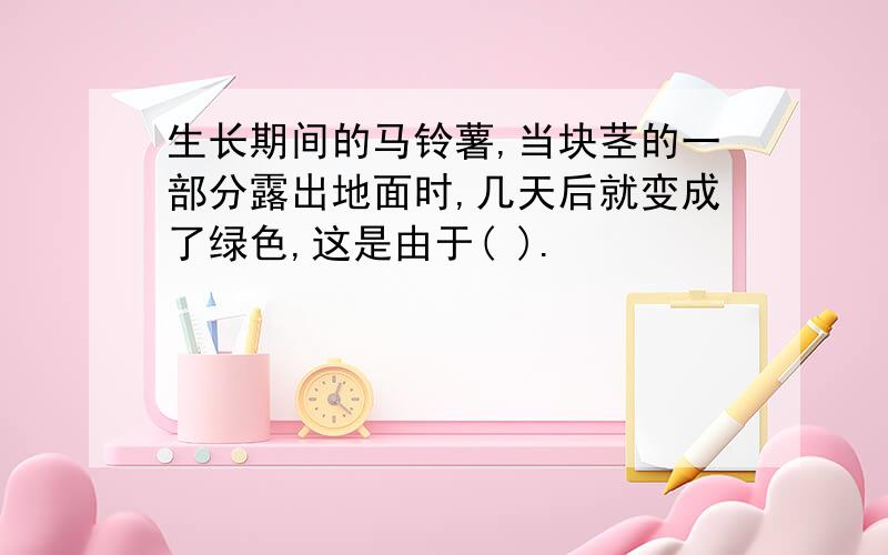 生长期间的马铃薯,当块茎的一部分露出地面时,几天后就变成了绿色,这是由于( ).