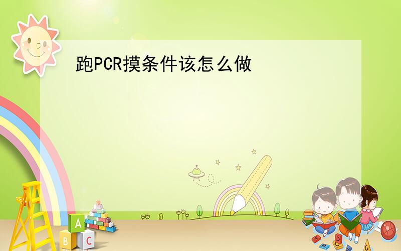 跑PCR摸条件该怎么做