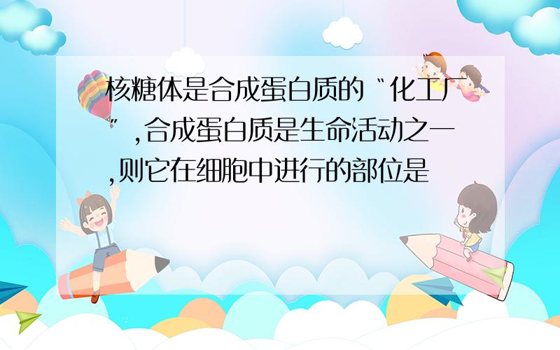 核糖体是合成蛋白质的〝化工厂〞,合成蛋白质是生命活动之一,则它在细胞中进行的部位是