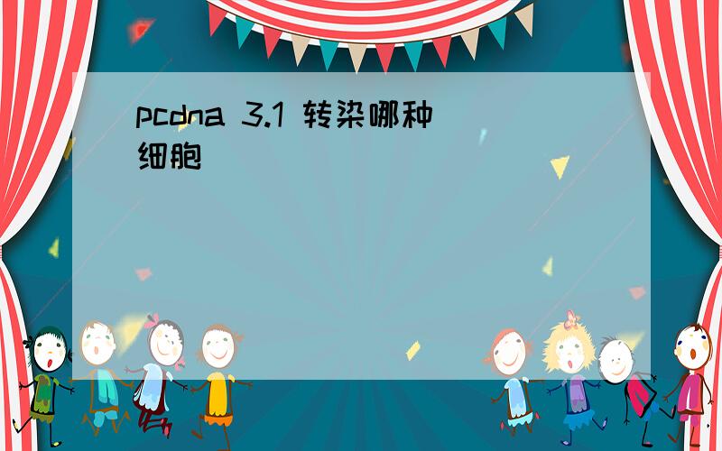 pcdna 3.1 转染哪种细胞