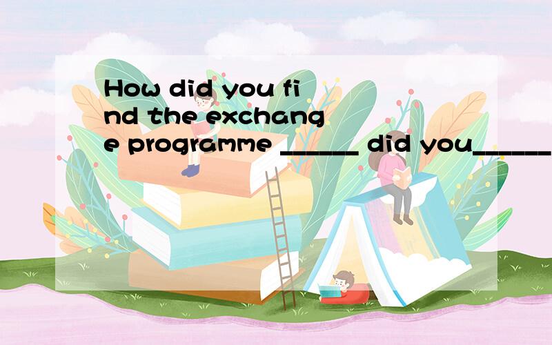 How did you find the exchange programme ______ did you______