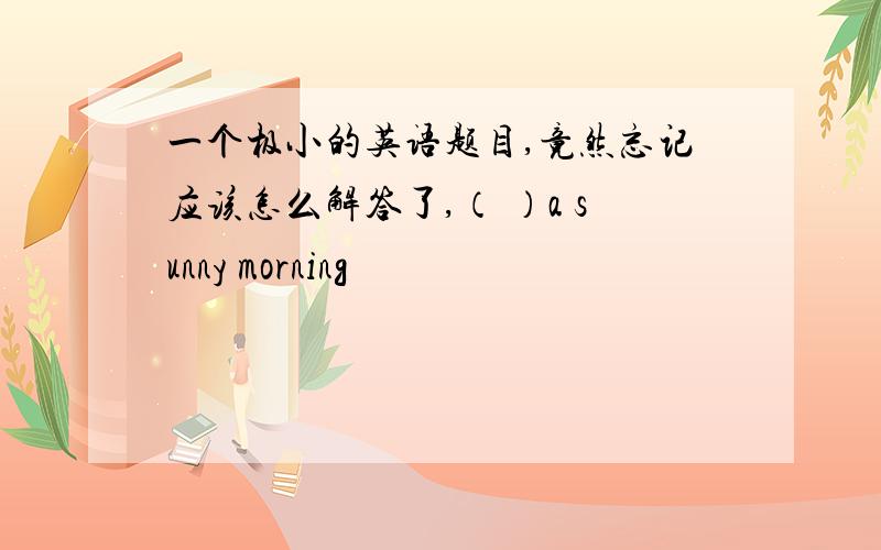 一个极小的英语题目,竟然忘记应该怎么解答了,（ ）a sunny morning