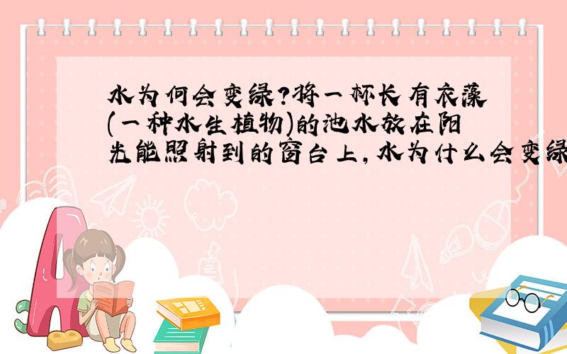 水为何会变绿?将一杯长有衣藻(一种水生植物)的池水放在阳光能照射到的窗台上,水为什么会变绿?