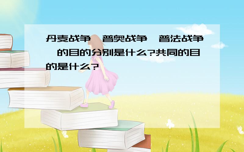 丹麦战争、普奥战争、普法战争、的目的分别是什么?共同的目的是什么?