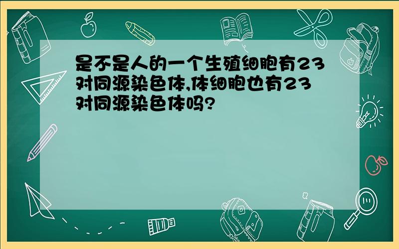 是不是人的一个生殖细胞有23对同源染色体,体细胞也有23对同源染色体吗?