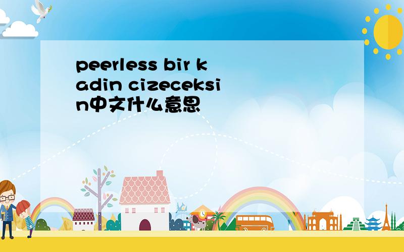 peerless bir kadin cizeceksin中文什么意思