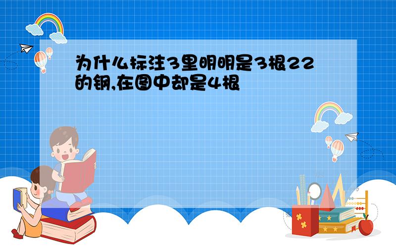 为什么标注3里明明是3根22的钢,在图中却是4根