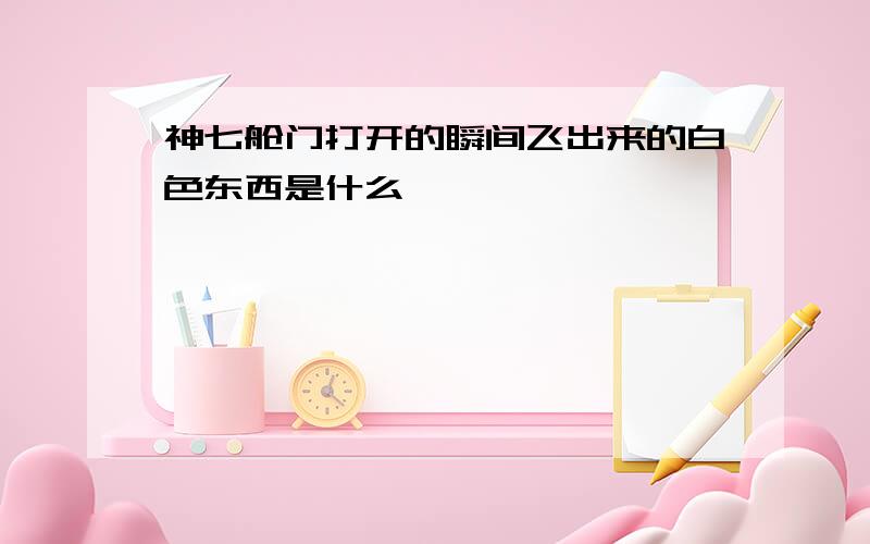 神七舱门打开的瞬间飞出来的白色东西是什么