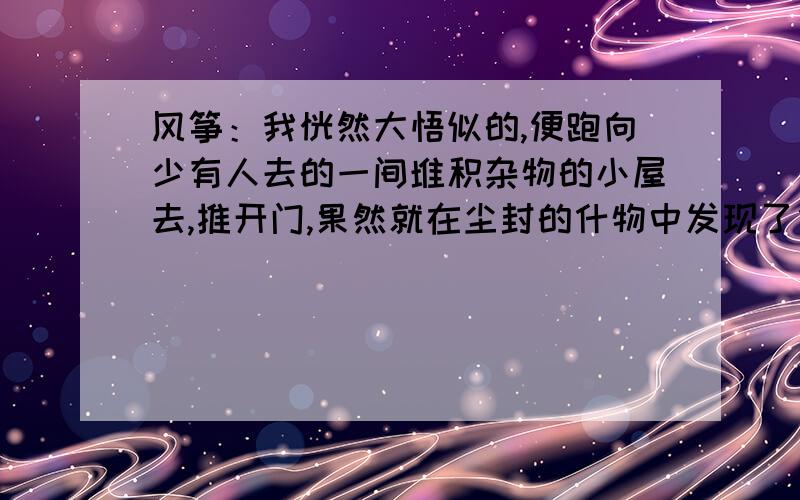 风筝：我恍然大悟似的,便跑向少有人去的一间堆积杂物的小屋去,推开门,果然就在尘封的什物中发现了他